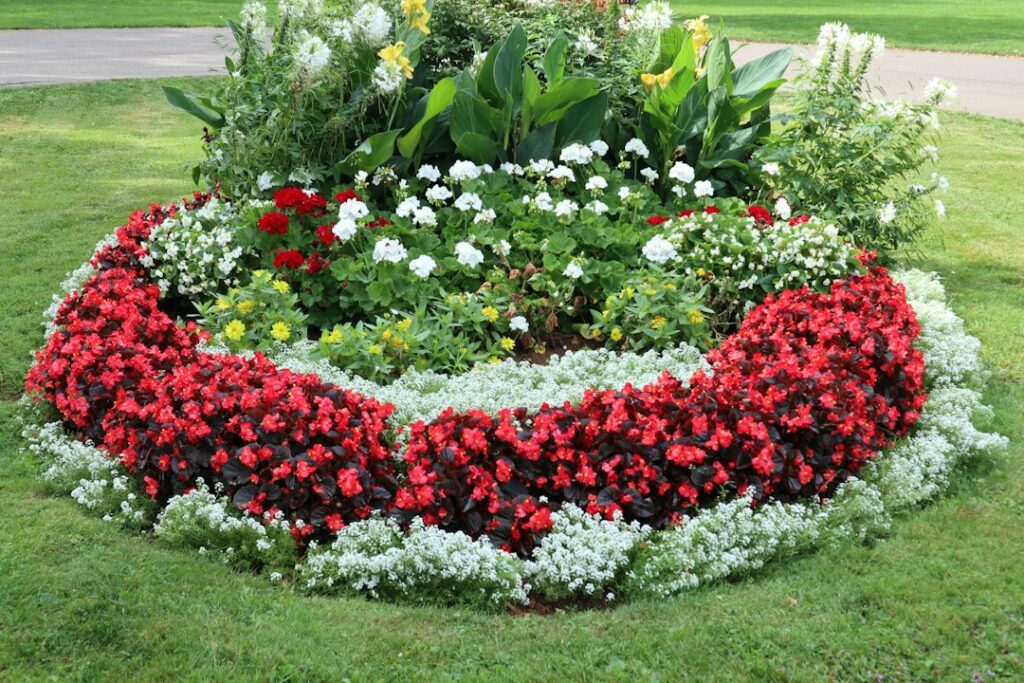 Compost for Flower Beds: How Much to Add and When