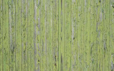 Behr Dark Green Paint Colors: The Best Shades and Where to Use Them