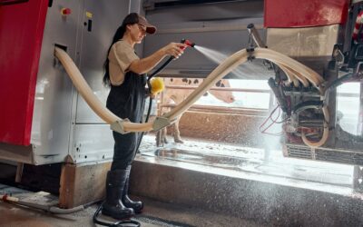 Best Multi Purpose Steam Cleaner: Top Picks and Buying Guide