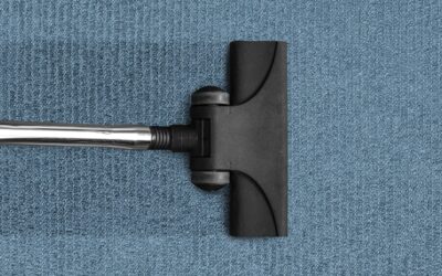 Best Vacuum for Rugs: Top Picks and Buying Guide