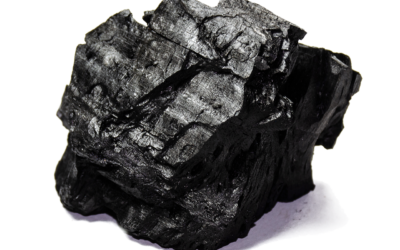 Black Hardwood: Complete Guide for Homeowners