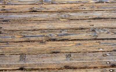 Blackbutt Timber Flooring: Pros, Cons, and Buying Guide