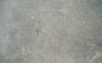 Complete Flooring: Pros, Cons, and Buying Guide