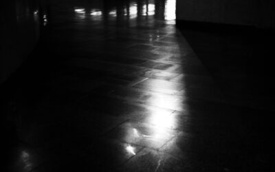 Dark Floors Light Walls: Complete Guide for Homeowners