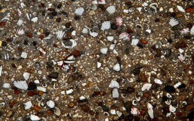 Decorative Resin Flooring: Pros, Cons, and Buying Guide