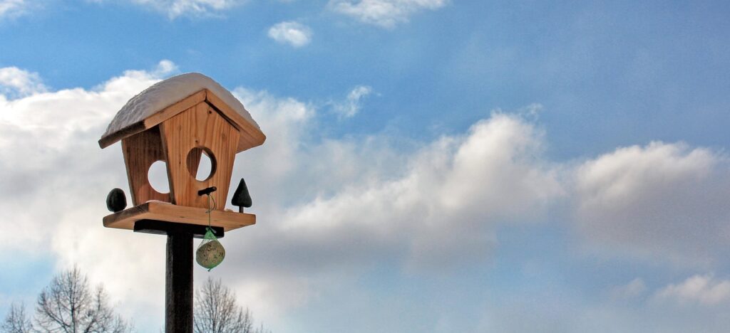 DIY Bird Feeder for Kids: 6 Weekend Projects from Easy to Impressive