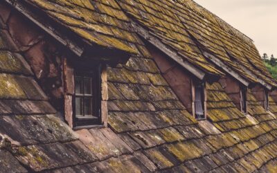 Does Skylight Calendar Require a Subscription: What You Need to Know
