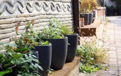 Eaves of a House: Purpose, Types, and Repair Guide