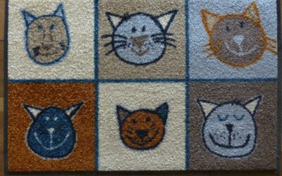 Foam Floor Mats: The Complete Guide to EVA Tiles, Gym Mats, and More