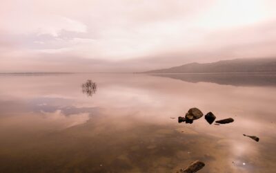 Foggy Mirror: Complete Guide for Homeowners