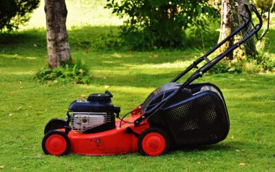 Gas Push Lawn Mower: A Complete Buying and Care Guide