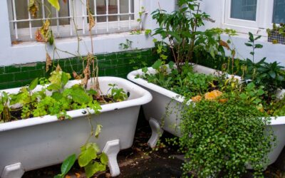 How Long Is a Standard Tub? A Complete Guide for Homeowners