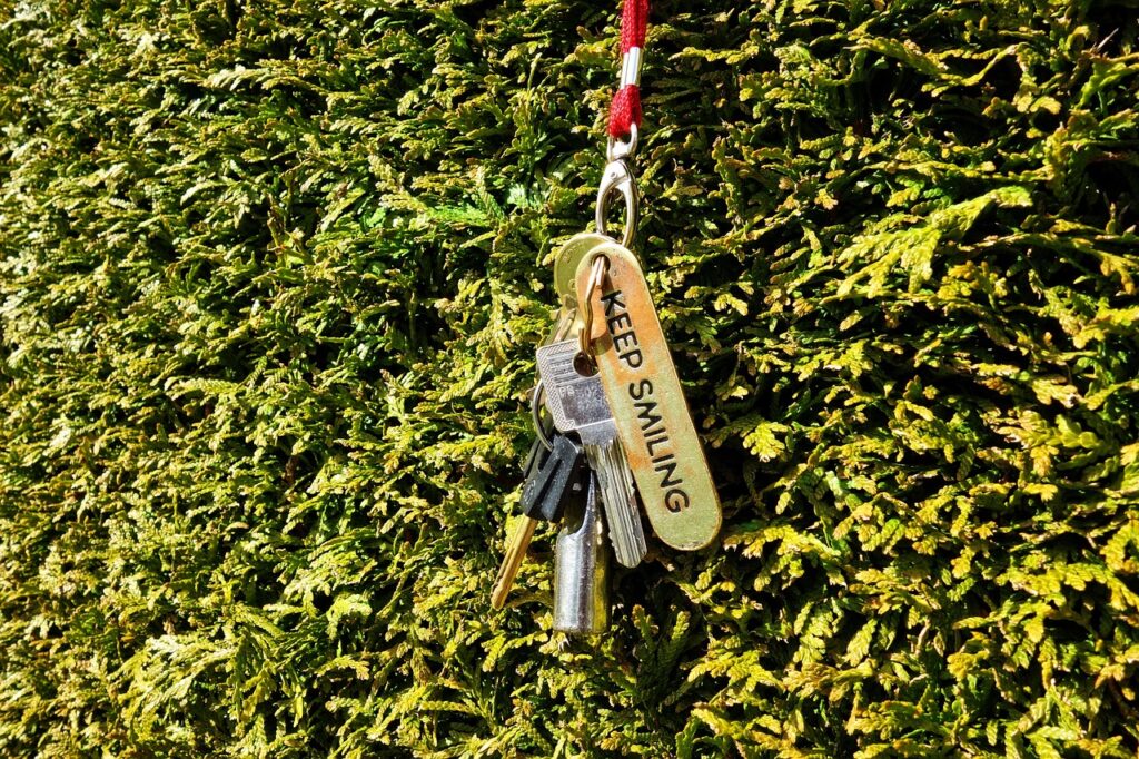 How to Keep Birds from Pooping on My Porch: Step-by-Step Guide