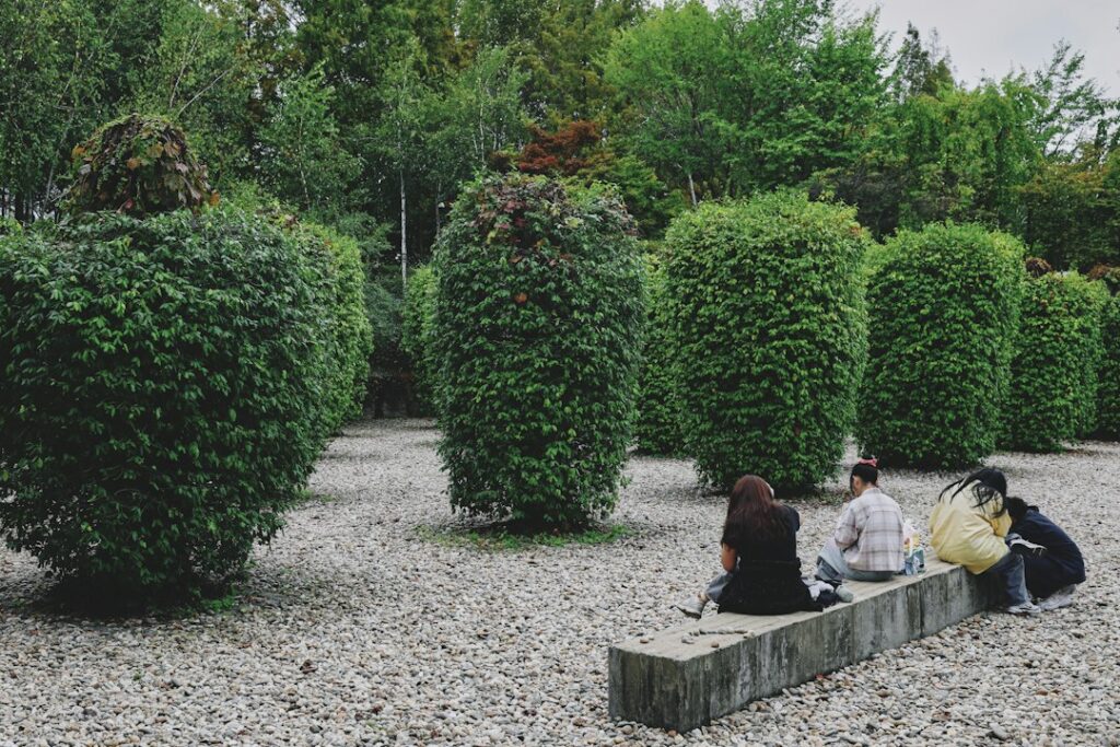 Modern Desert Landscaping: Clean Lines and Sculptural Plants