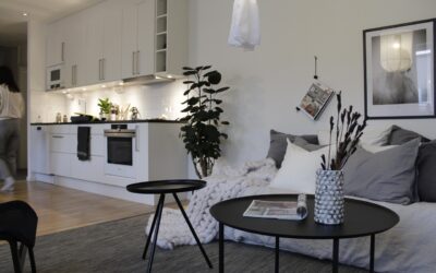 Narrow Studio Apartment Floor Plans: Complete Guide for Homeowners
