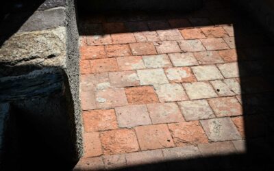 Outdoor Terracotta Pots: Preventing Winter Cracks