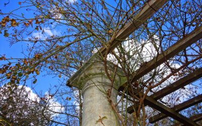 Pergola Guide: Types, Costs & Installation Tips (2026)