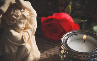 Protect All Flooring: Pros, Cons, and Buying Guide