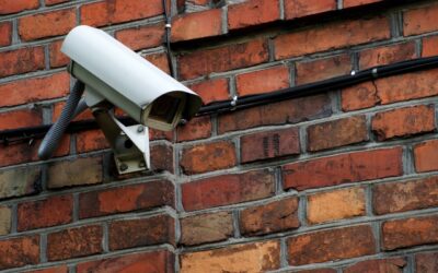 Reolink Security Camera System: Everything You Need to Know