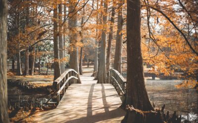 Resin Flooring Outside: Pros, Cons, and Buying Guide