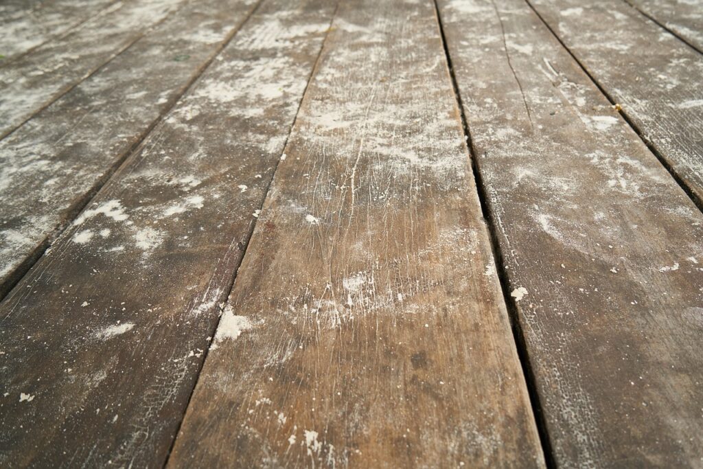 Shaw Contract Flooring: Pros, Cons, and Buying Guide