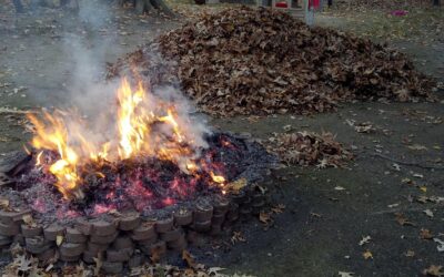 Simple Backyard Fire Pit Ideas: Design Inspiration for Your Home