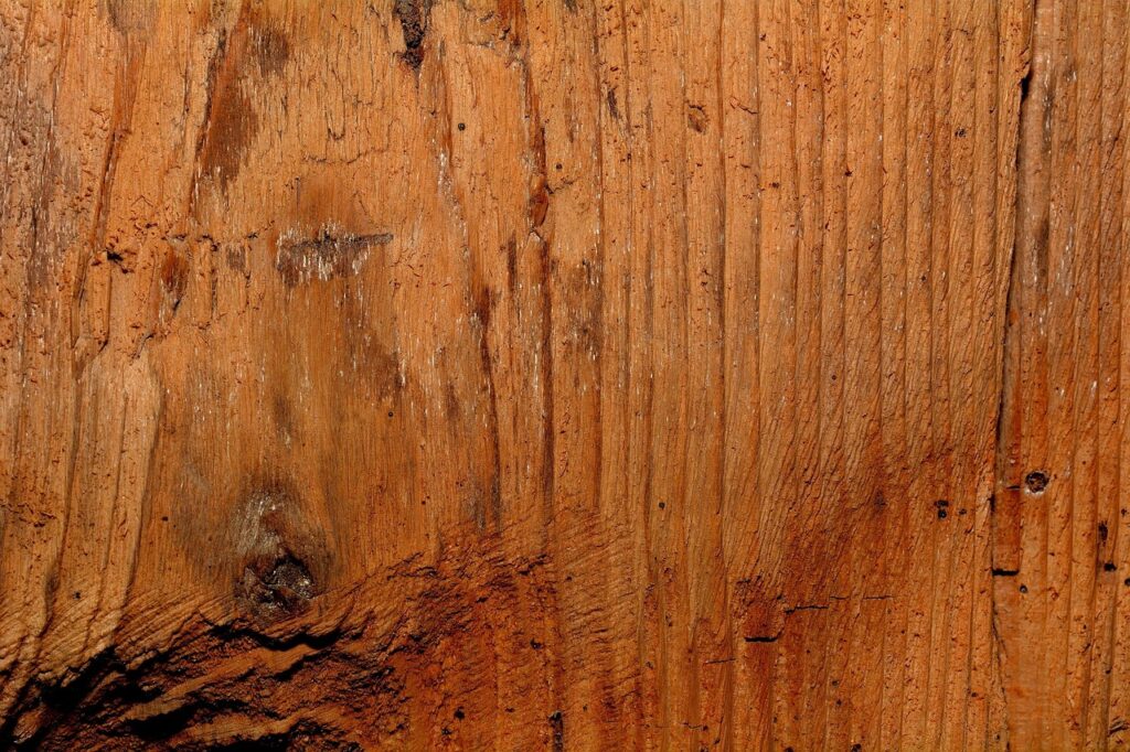 Solid Wood Countertop: Complete Guide for Homeowners