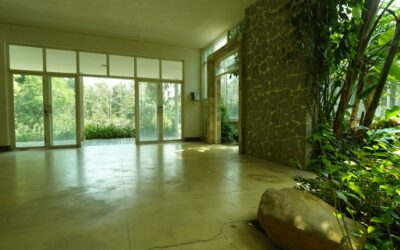 Stone Facing for a House: Front Accent Ideas That Look Right