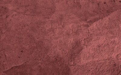 Stucco Wall: Types, Cost, Application & Maintenance Guide (2026)