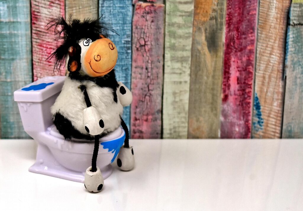 Toilet Bowl Float: Diagnosis, Adjustment, and Replacement