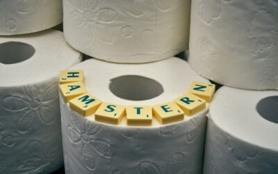Toilet Buying Guide: Complete Guide for Homeowners