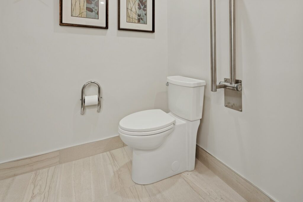 Toilet Flushes: A Complete Guide for Homeowners