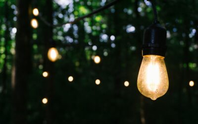 Types of Outdoor Lighting: A Complete Guide for Homeowners