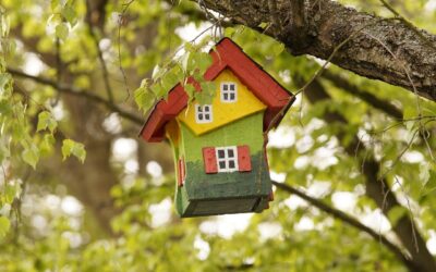 Unique DIY Bird Feeder Ideas: 9 Creative Projects for Your Yard