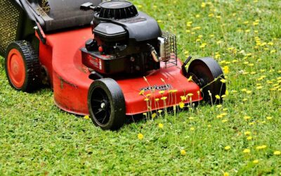Walk Behind Lawn Mower: The Complete Buying Guide