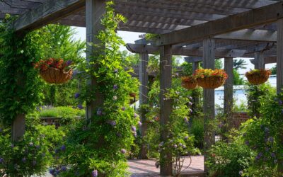 What is a Gazebo: Complete Guide for Homeowners