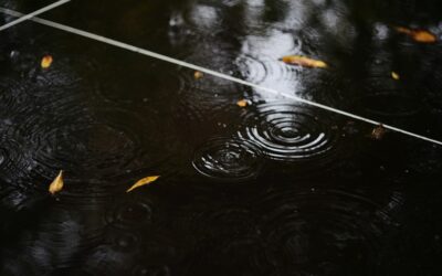 What Is the Best Waterproof Scratch-Resistant Flooring?