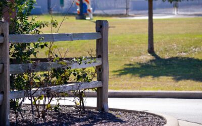 What to Do with Old Mulch: Complete Guide for Homeowners