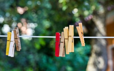 Wool Balls for Laundry: The Complete Guide