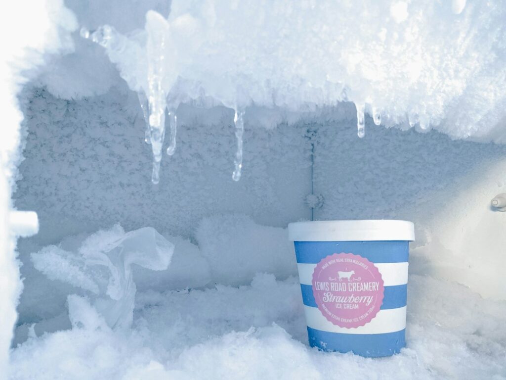 How to Get Smell Out of a Freezer (Even Rotten Meat)