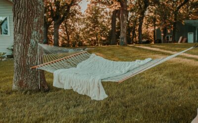 How to Hang a Hammock Between Trees Without Damaging Them