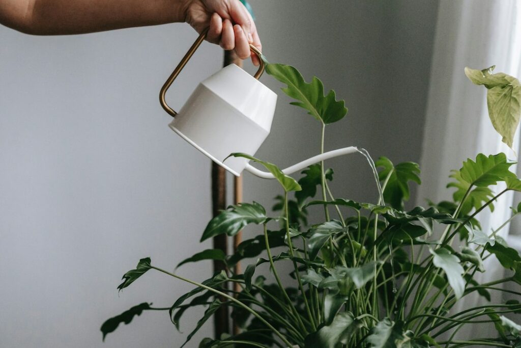 Self Watering Flower Pots: How They Work and When to Use
